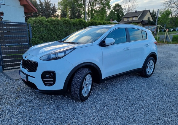 Kia Sportage cena 72900 przebieg: 96557, rok produkcji 2016 z Chmielnik małe 742